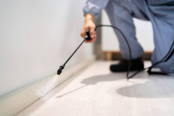 Licensed Termite Control service in Ste. Genevieve, MO - Show Me Pest Control